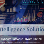 Ryndata BI solution Cover