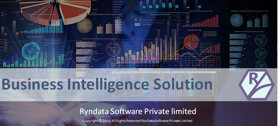 Ryndata BI solution Cover